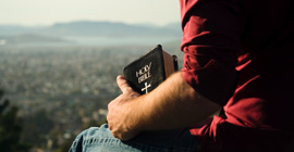 Silence of the desert